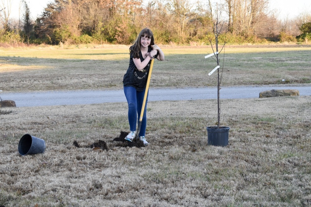 Abby Golden making room for a pear tree.  